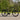 Ibex eFat Frank GT – 45 km/h E-Bike mit Bosch CX Speed & 800Wh Akku